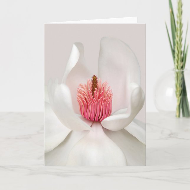 Blommor | White Magnolia Kort (Framsida)