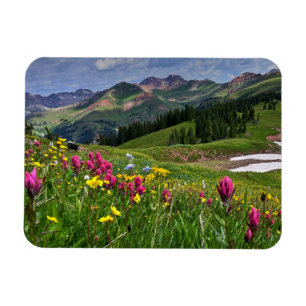 Blommor Wildblommor Durango, Colorado Magnet
