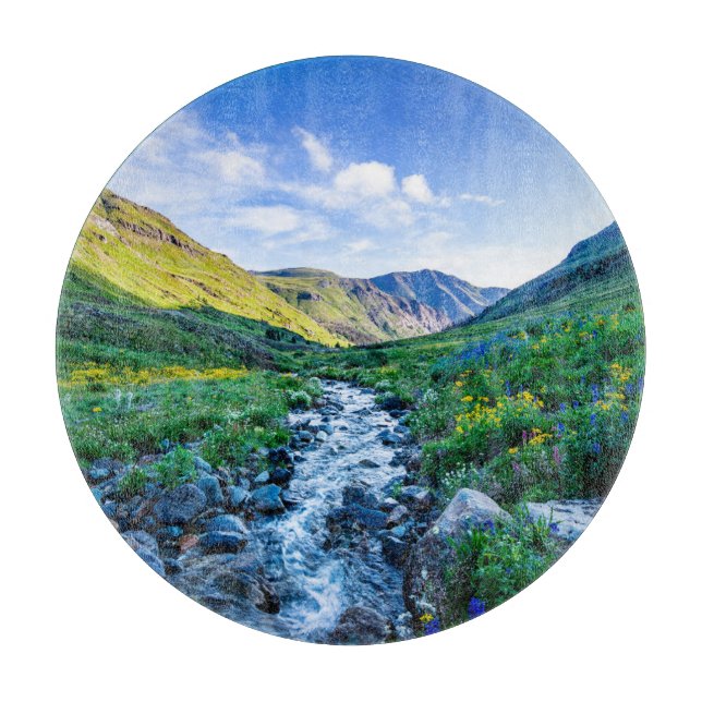 Blommor | Wildblommor i Colorado (Framsidan)