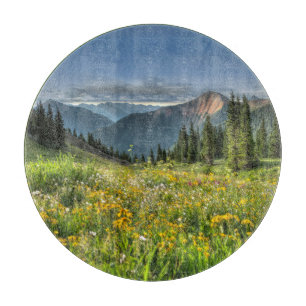 Blommor Wildblommor Silverton Colorado