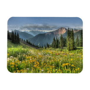 Blommor Wildblommor Silverton Colorado Magnet