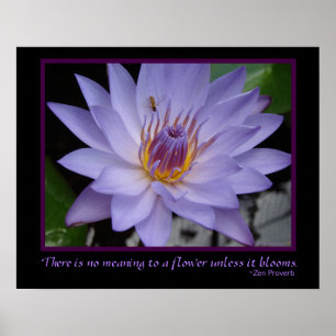 Blommor Zen Proverb Lila Vatten Lily & Bee Poster