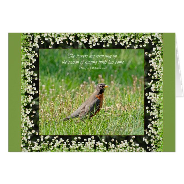 Blommorna kommer upp med Parakaleo-anteckningskort OBS Kort (Framsidan Horizontal)