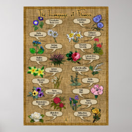 Blommornas språk poster