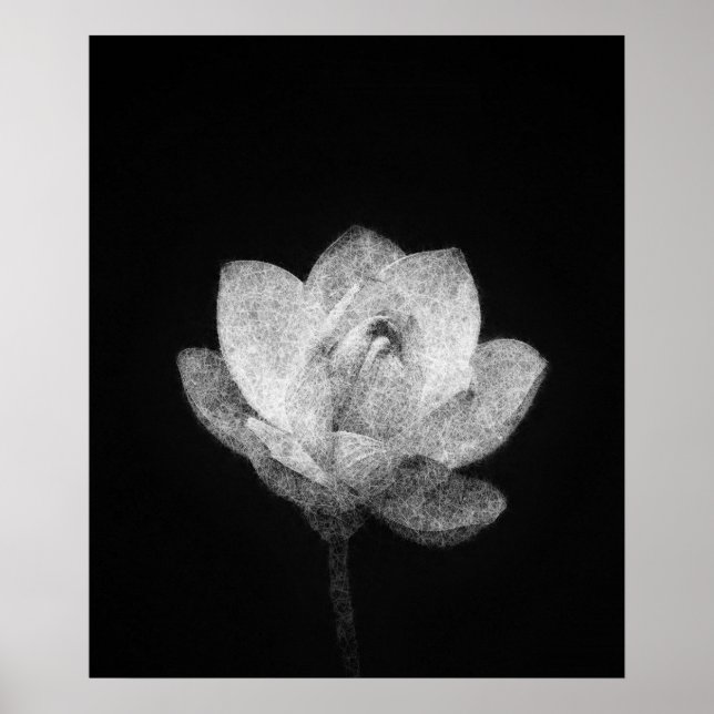 blomning: sketch konst av blomkål poster (Framsidan)