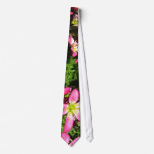 blomningstid slips