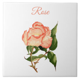 Blompersika och rosa botaniska vattenfärger i ro kakelplatta