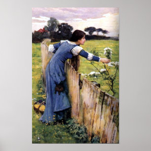 Blomplockare av John Waterhouse Skriv ut Poster