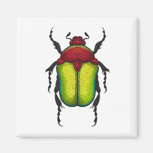 Blomskalbaggar Magnet
