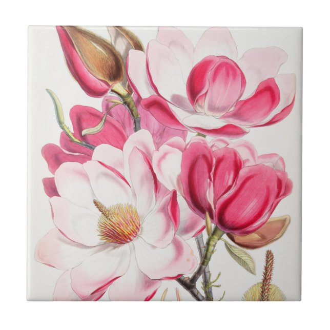 Blomster Kakelplatta (Framsidan)