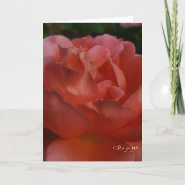 Blomster närbild kort (Framsida)