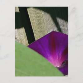 Blomster Vykort