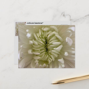 Blomster vykort