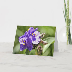 Blomsteradapterkort för vild 11:1 kort