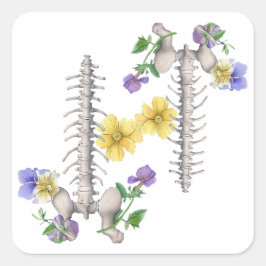 Blomsteranatomi - Kotpelare, Höftben Fyrkantigt Klistermärke