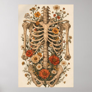 Blomsteranatomi Skelettaffisch, Vintage Botanisk Poster