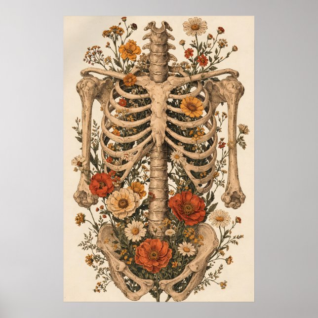 Blomsteranatomi Skelettaffisch, Vintage Botanisk Poster (Framsidan)