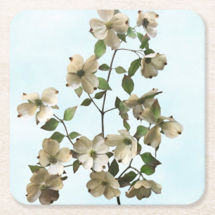 Blomsterblommor av vitt dogwood underlägg papper kvadrat