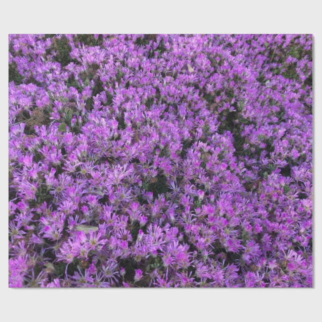 Blomsterdesign i lila presentpapper (Platt)