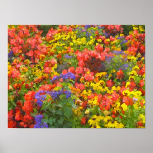 Blomsterfält Affisch (Framsidan)