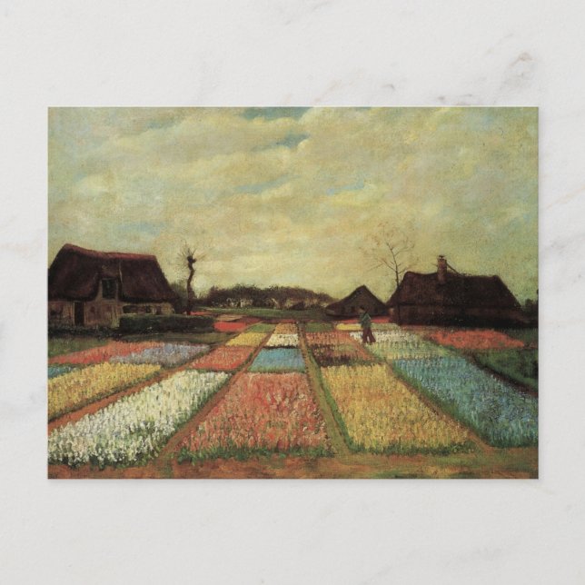 Blomsterfält av Vincent van Gogh Vykort (Framsida)