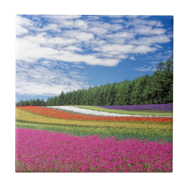 Blomsterfält Kakelplatta (Framsidan)