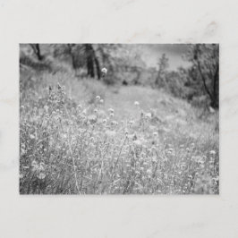 Blomsterfält Vykort