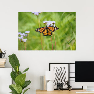 Blomsterfotografi Art för vacker Monarch Butterfly Poster
