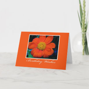 Blomsterfotografi Birthday Önskemål Kort