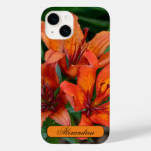 Blomsterfotografi, Canadian Daylily
