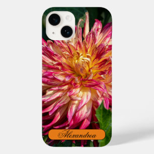 Blomsterfotografi, Orange Chrysanthemum