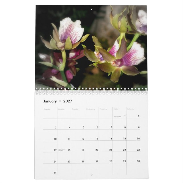 Blomsterfotografikalender 2010 kalender (Jan 2027)
