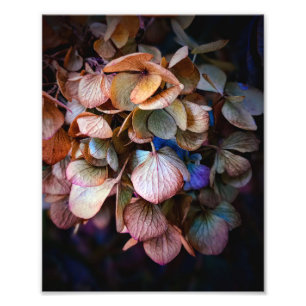Blomsterfotografin Vacker natur Fototryck