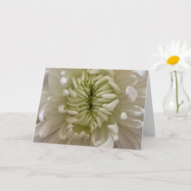 Blomsterhälsningskort Kort (Liten växt)