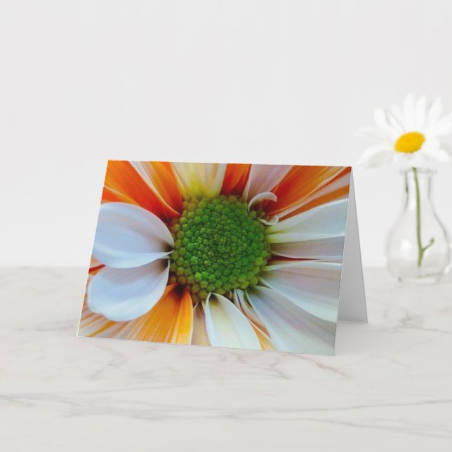 Blomsterhälsningskort Kort (Liten växt)