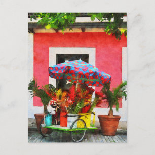 Blomsterkärra San Juan, Puerto Rico Vykort