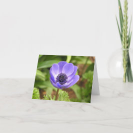 Blomsterkort (Anemone coronaria) Helgkort