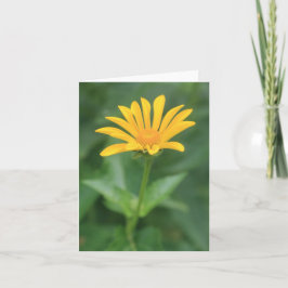 Blomsterkort för fast Gult Tack Kort