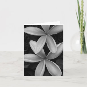 Blomsterkort för svartvitt kort