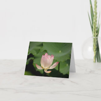 Blomsterkort Kort