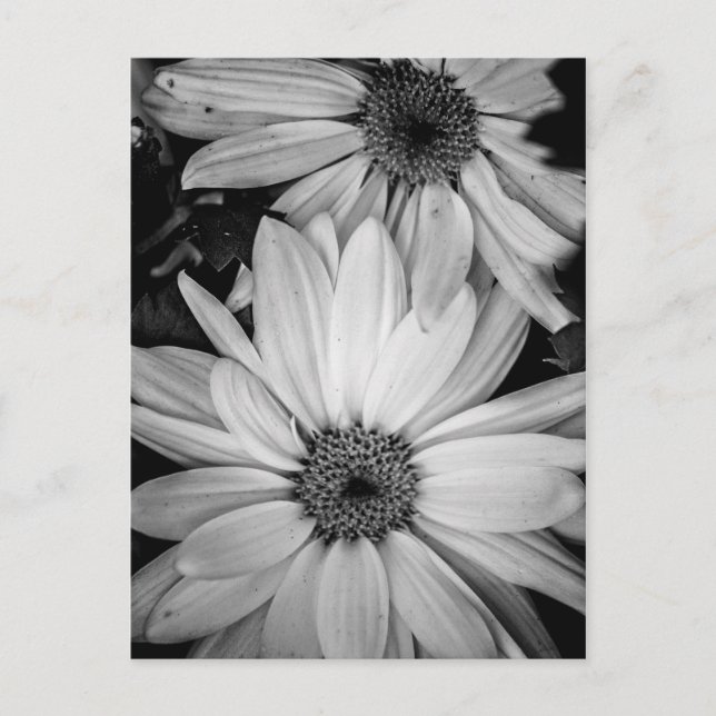 Blomsterkort Vykort (Framsida)