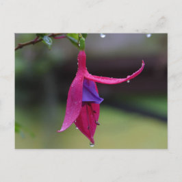 Blomsterkort Vykort