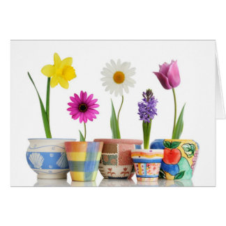 blomsterkraft hälsningskort