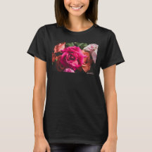 Blomstermönster Livlig Rosa Ros Blomfotografering 