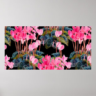 Blomstermönster utan sömmar. Rosa cyklamen isolera Poster
