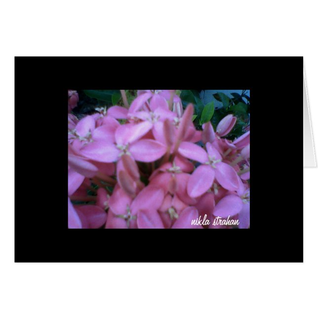 *BLOMSTERSAMLING*   anteckningskort OBS Kort (Framsidan Horizontal)