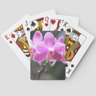 Blomstersamling Spel Kort