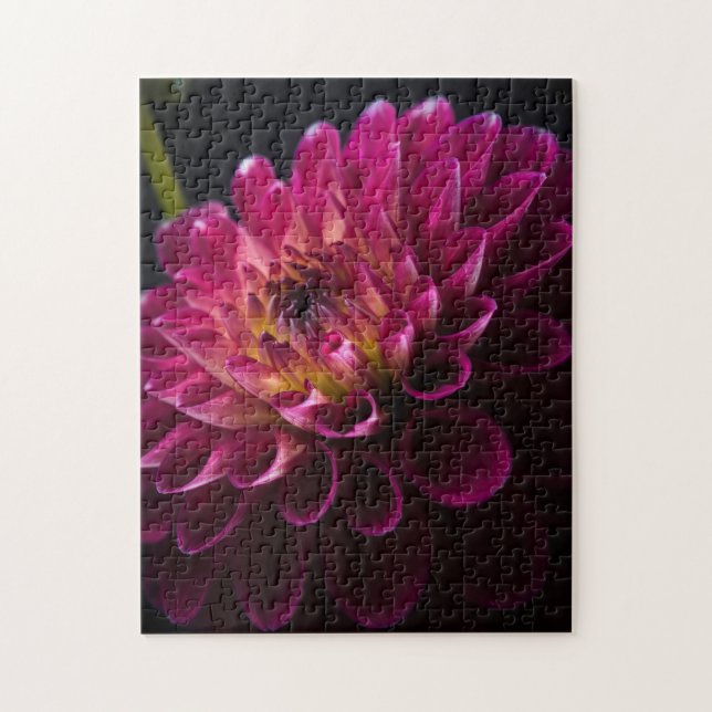Blomsterserie: Dahlia Pussel (Vertikal)