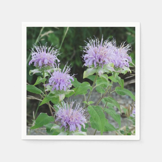 BLOMSTERTRÄDGÅRD 3 PAPPERSSERVETT (Framsidan)