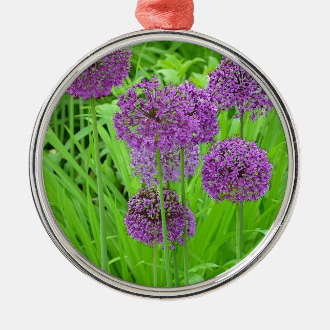 blomsterträdgård av lila allium julgransprydnad metall (Framsidan)